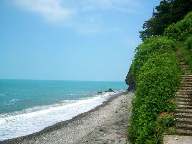 Chakvi